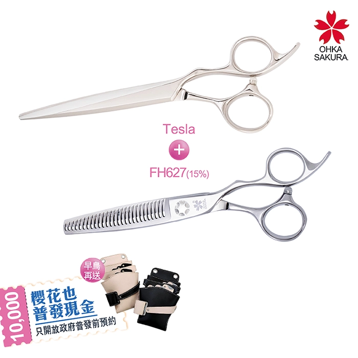 特斯拉 Tesla & FH627(15%) 流光銀