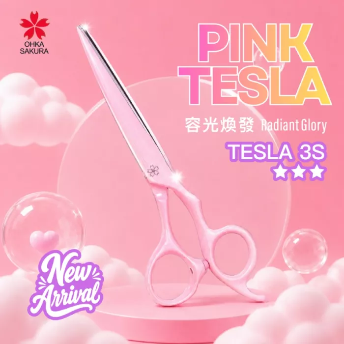 TESLA 3 容光煥發