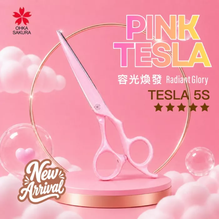 TESLA 5 容光煥發