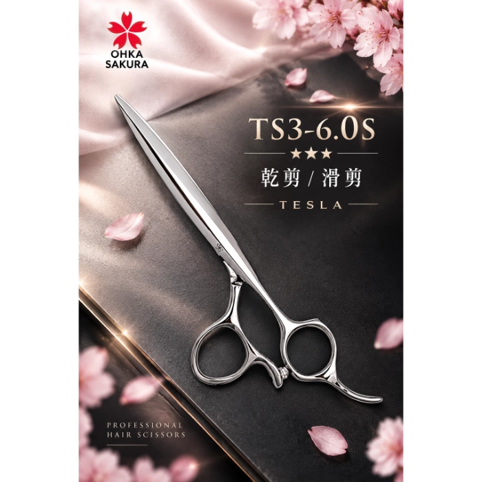 TS3-6.0S