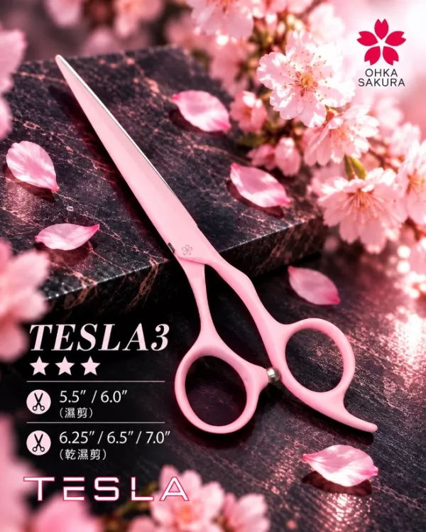 TESLA3