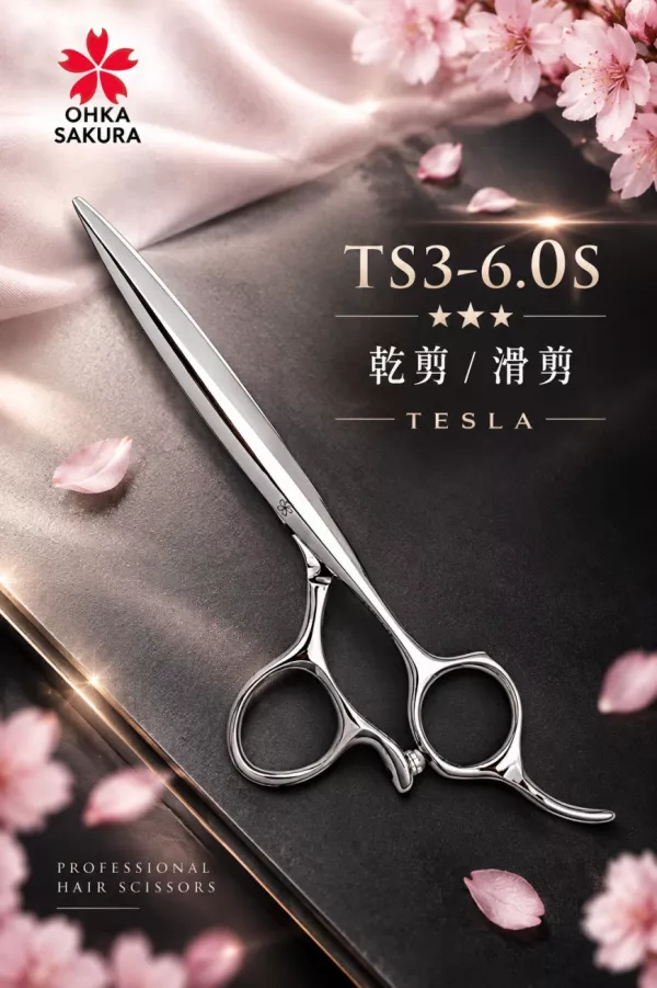 TESLA SILVER 特斯拉銀河