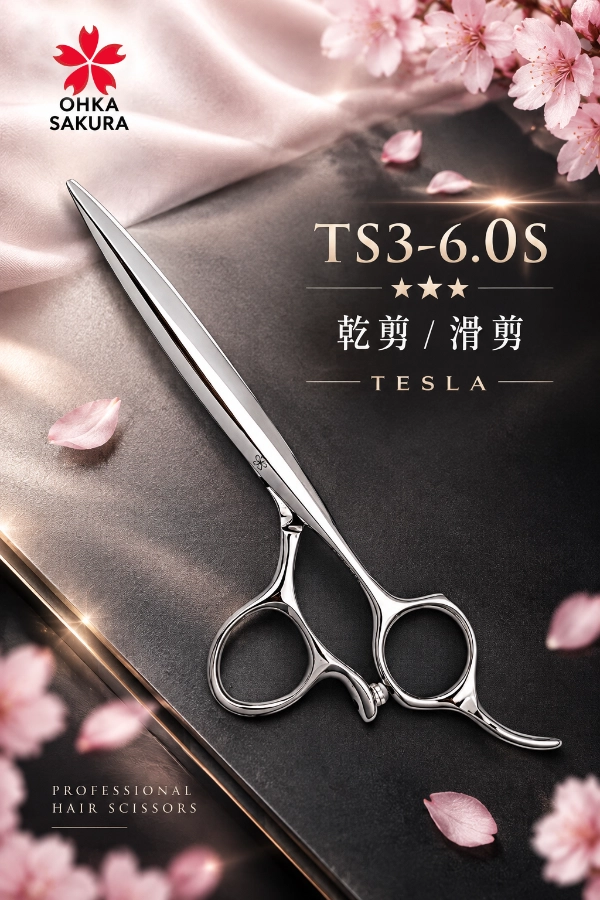 TS3-6.0S